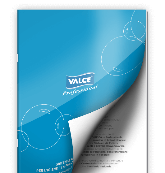 Catalogo Professional Valce